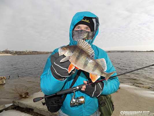 Изображение 1 : Мороз и солнце. Ловля на отводной поводок перед ледоставом.	