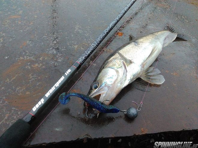 Изображение 1 : Fish Season Deep Whirpool Jig 902H. Первые рыбалки с бюджетным джигометом.